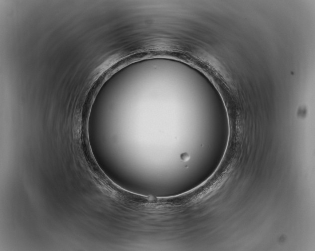 X0000098141065200804171542