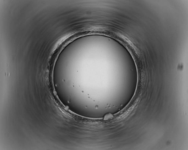 X0000098141066200804171542