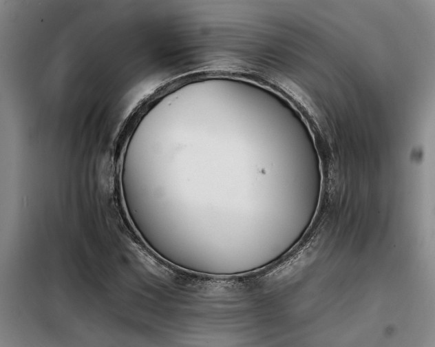 X0000098141067200804171541