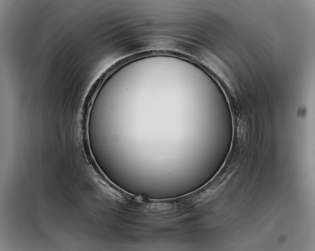 X0000098141068200804171541