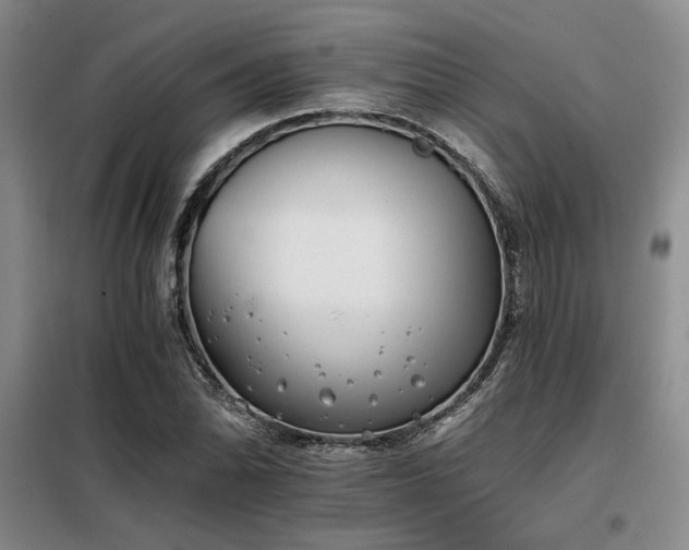 X0000098141070200804171541