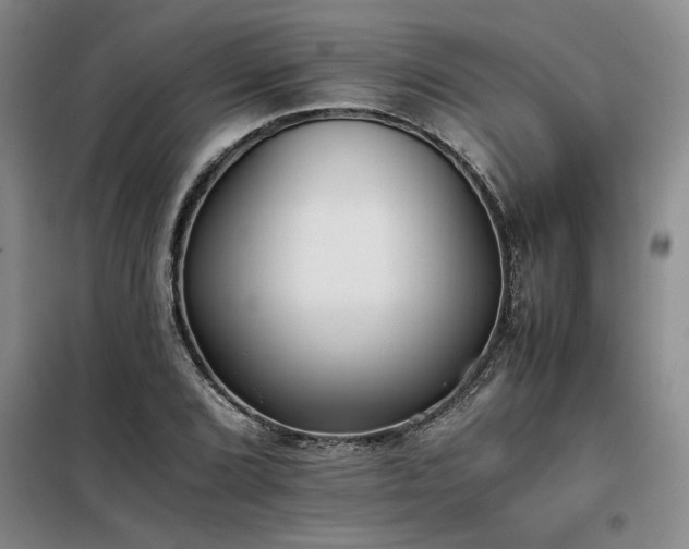 X0000098141072200804171541