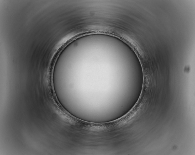 X0000098141074200804171541
