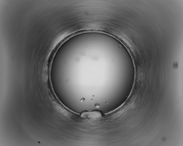 X0000098141075200804171541