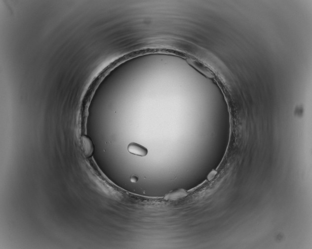 X0000098141076200804171541