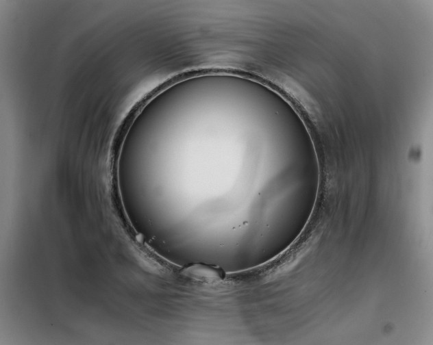 X0000098141077200804171541
