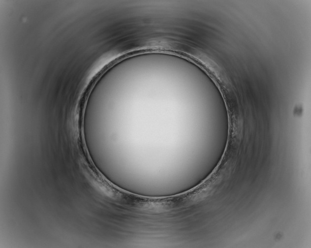 X0000098141078200804171541