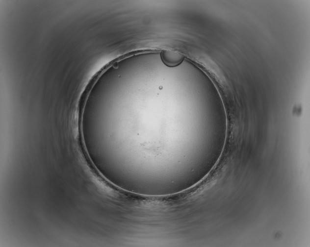 X0000098141079200804171541