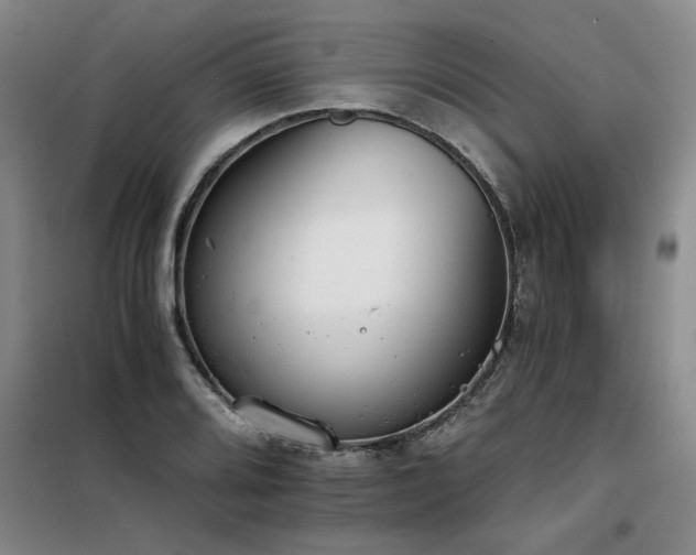 X0000098141080200804171541