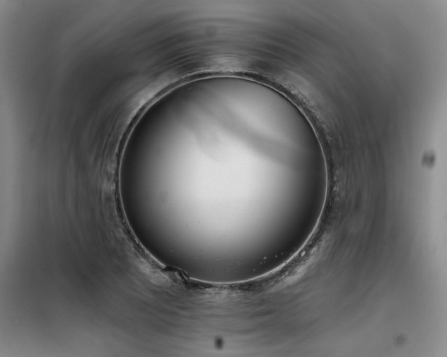 X0000098141081200804171541