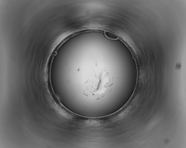 X0000098141082200804171541