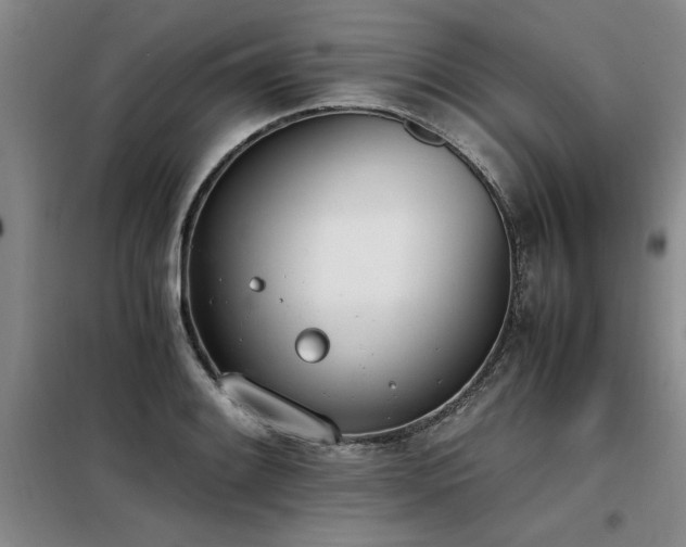 X0000098141084200804171541