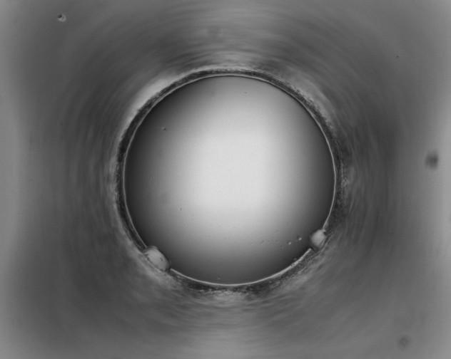 X0000098141085200804171541