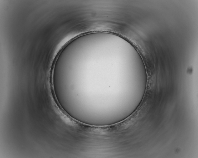 X0000098141086200804171541