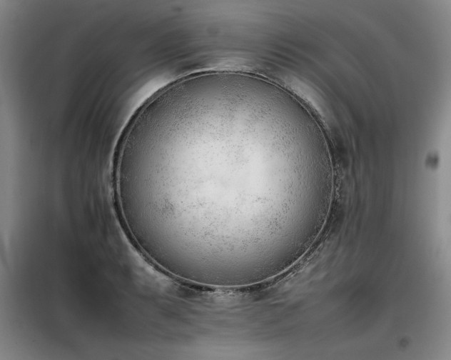 X0000098141087200804171541