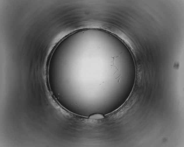 X0000098141088200804171541