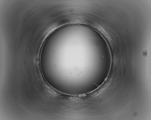 X0000098141089200804171541