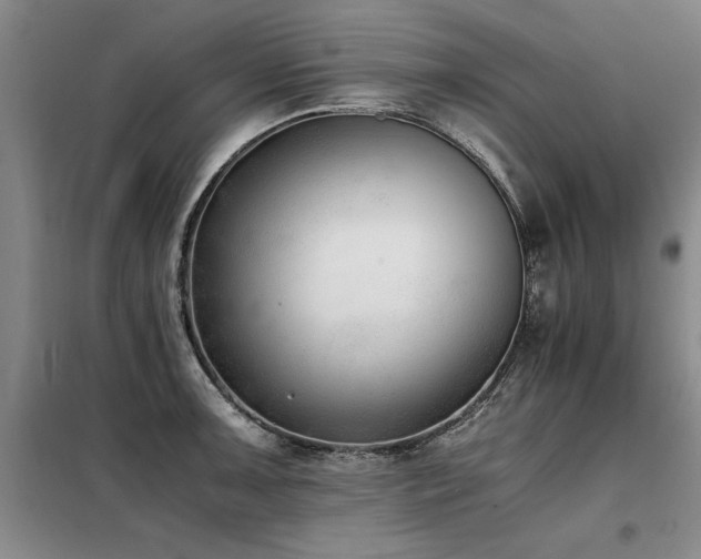 X0000098141091200804171541