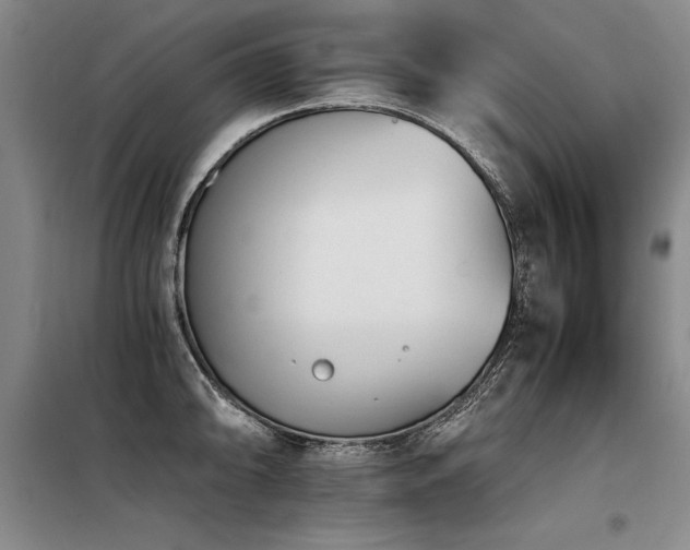X0000098141094200804171541