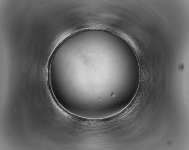 X0000098141095200804171541