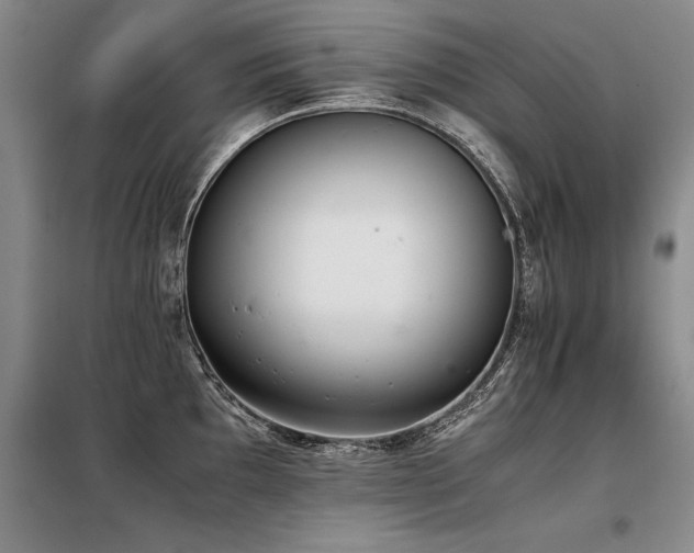 X0000098141097200804171541