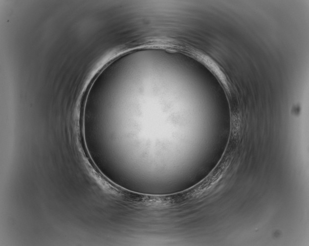 X0000098141099200804171541