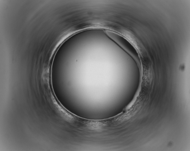 X0000098141100200804171541