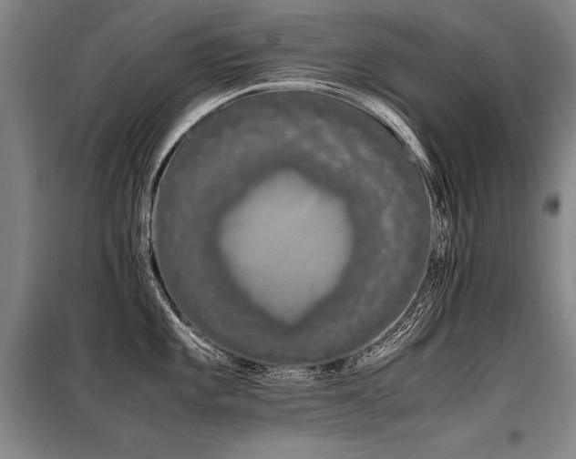 X0000098141101200804171541