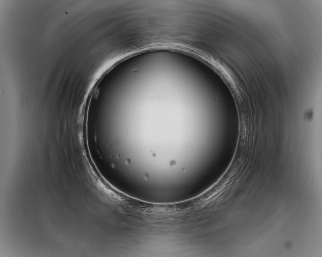 X0000098141102200804171541