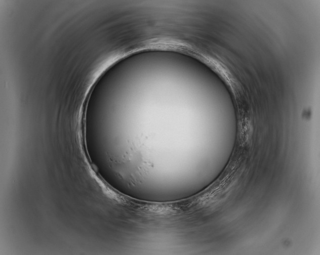 X0000098141103200804171541