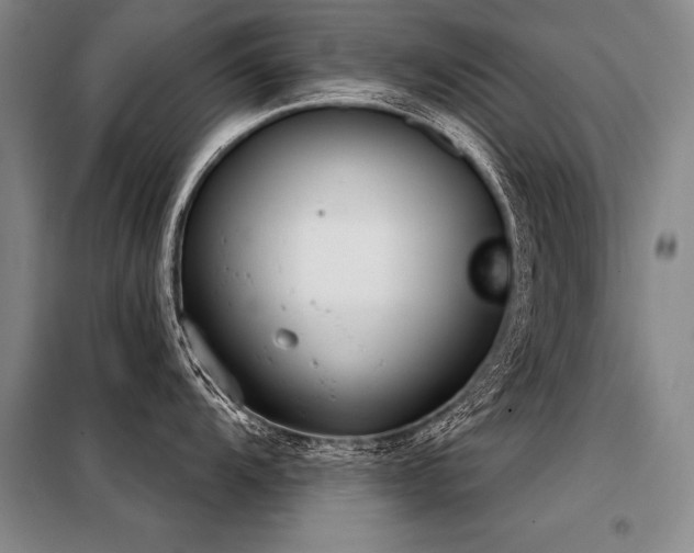 X0000098141104200804171541