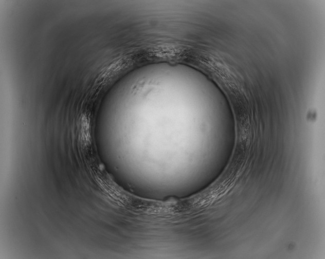 X0000098141106200804171540