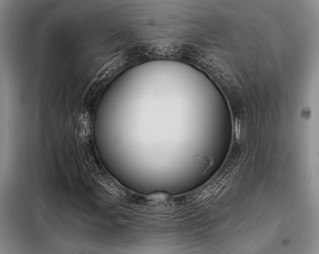 X0000098141107200804171540