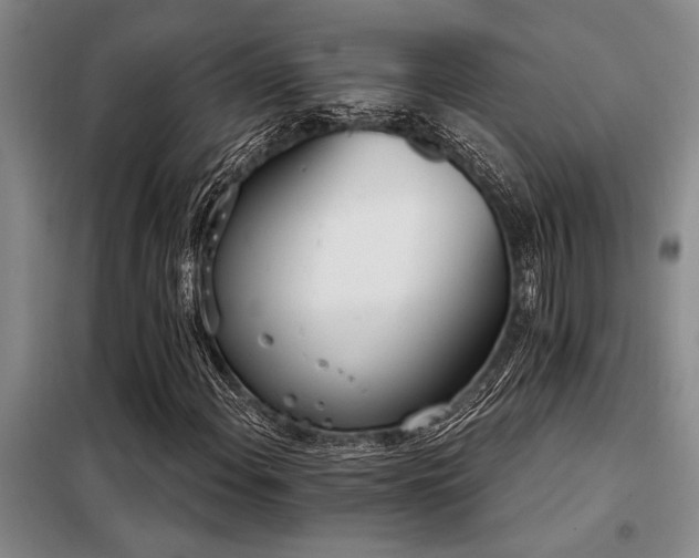 X0000098141108200804171540