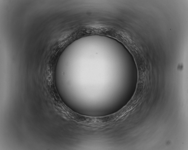 X0000098141109200804171540