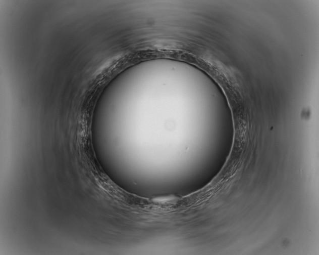 X0000098141110200804171540