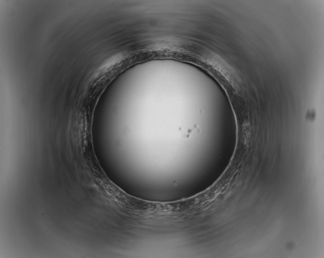 X0000098141111200804171540
