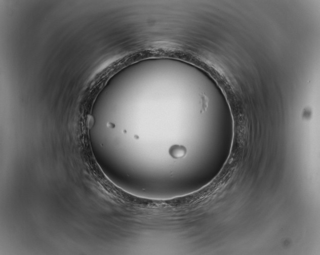 X0000098141112200804171540