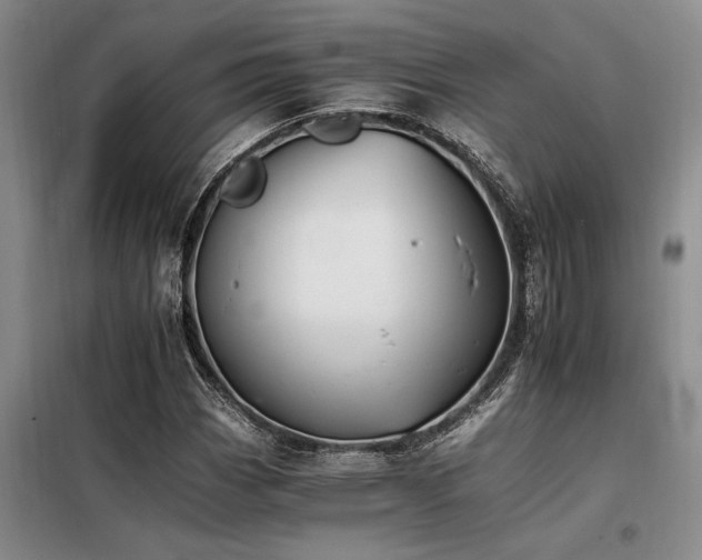 X0000098141113200804171540