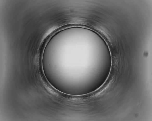 X0000098141114200804171540