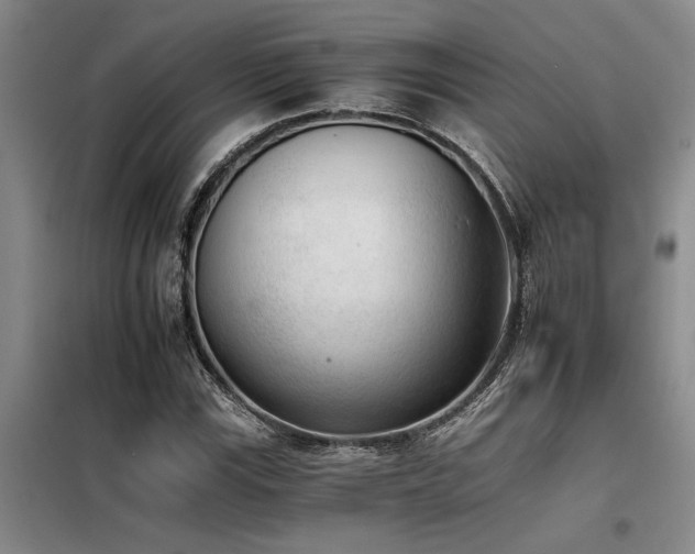 X0000098141115200804171540