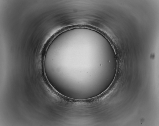 X0000098141118200804171540