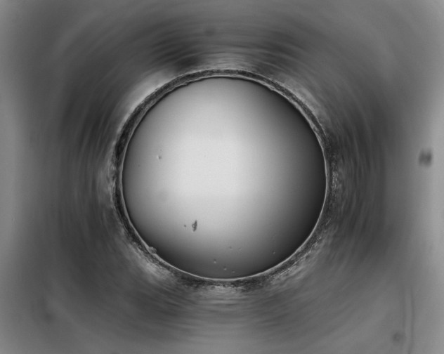 X0000098141119200804171540