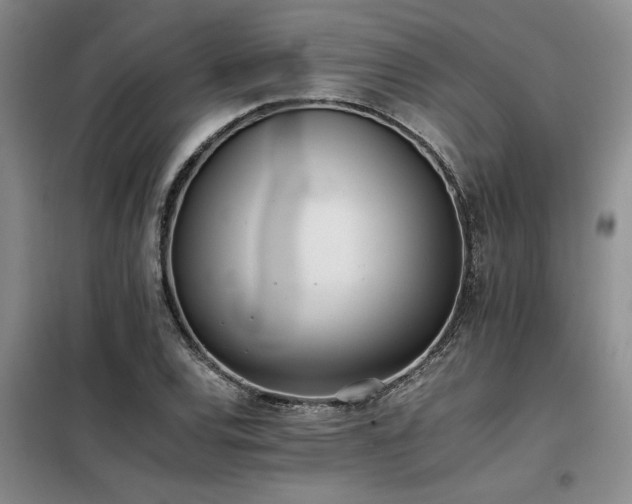 X0000098141120200804171540