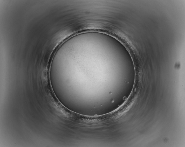 X0000098141121200804171540
