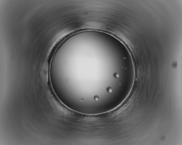 X0000098141123200804171540