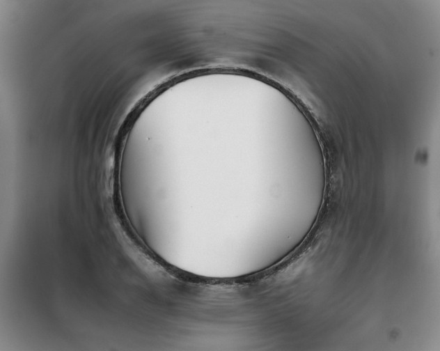 X0000098141126200804171540