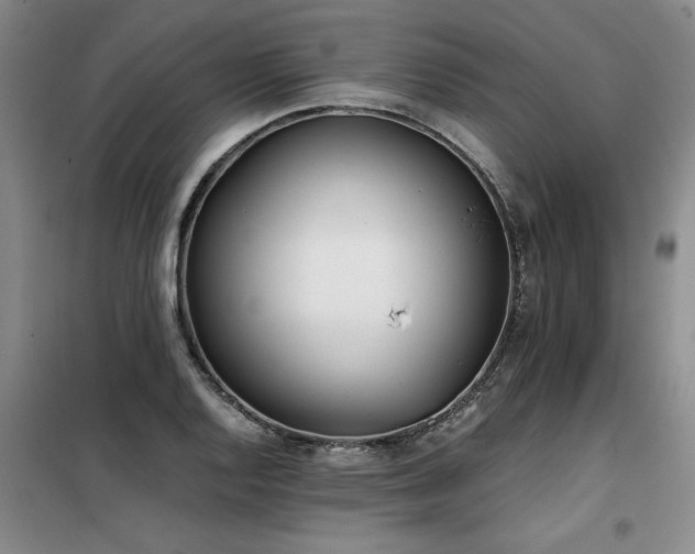 X0000098141128200804171540