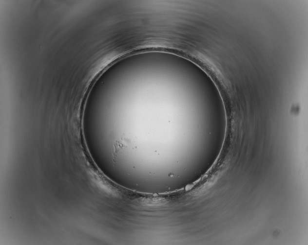 X0000098141129200804171540