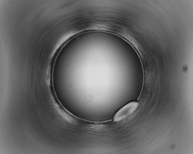 X0000098141131200804171541
